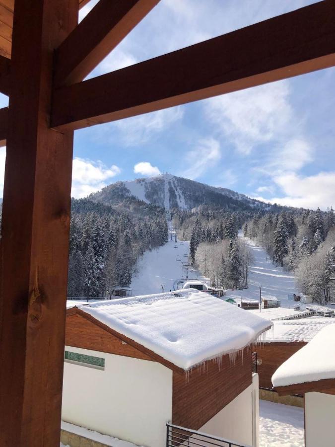 Chalet Kokhta Bakuriani Εξωτερικό φωτογραφία