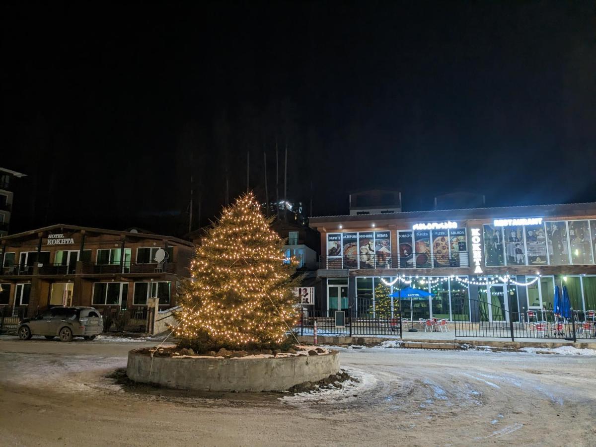 Chalet Kokhta Bakuriani Εξωτερικό φωτογραφία