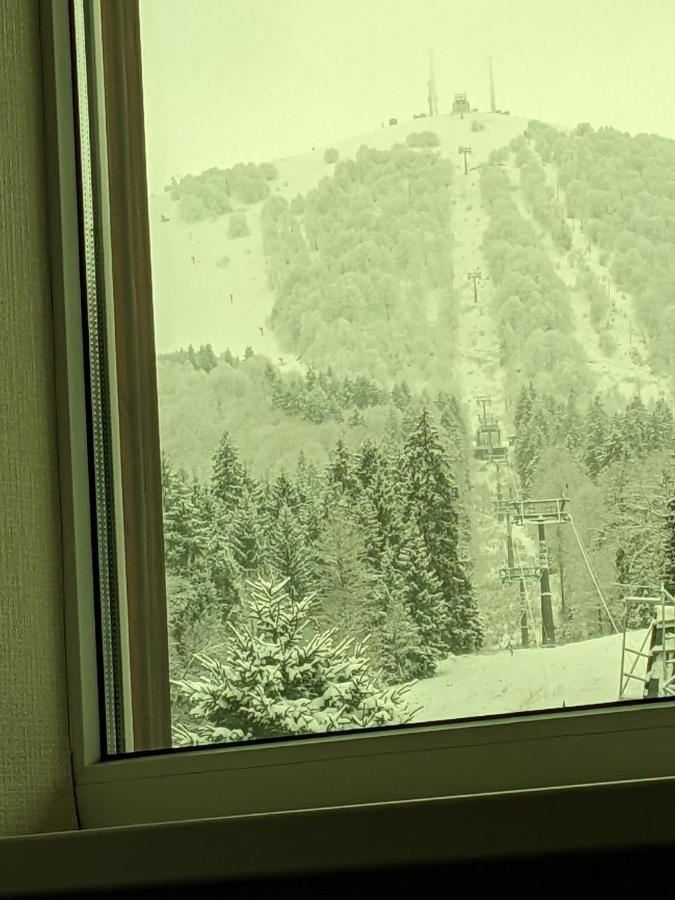 Chalet Kokhta Bakuriani Εξωτερικό φωτογραφία