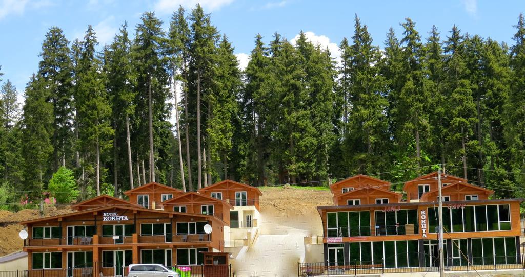 Chalet Kokhta Bakuriani Εξωτερικό φωτογραφία