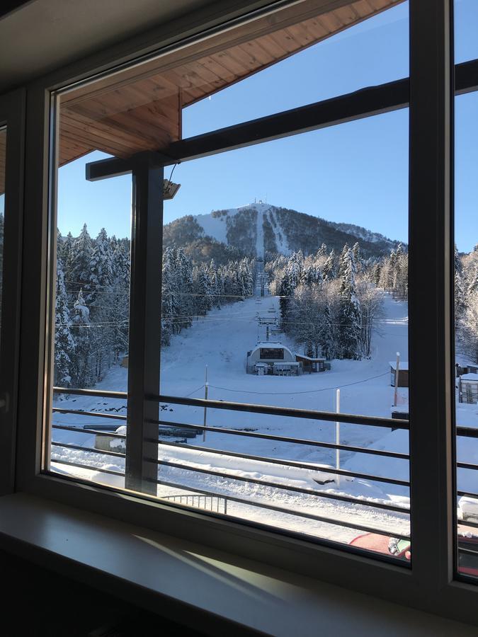 Chalet Kokhta Bakuriani Εξωτερικό φωτογραφία