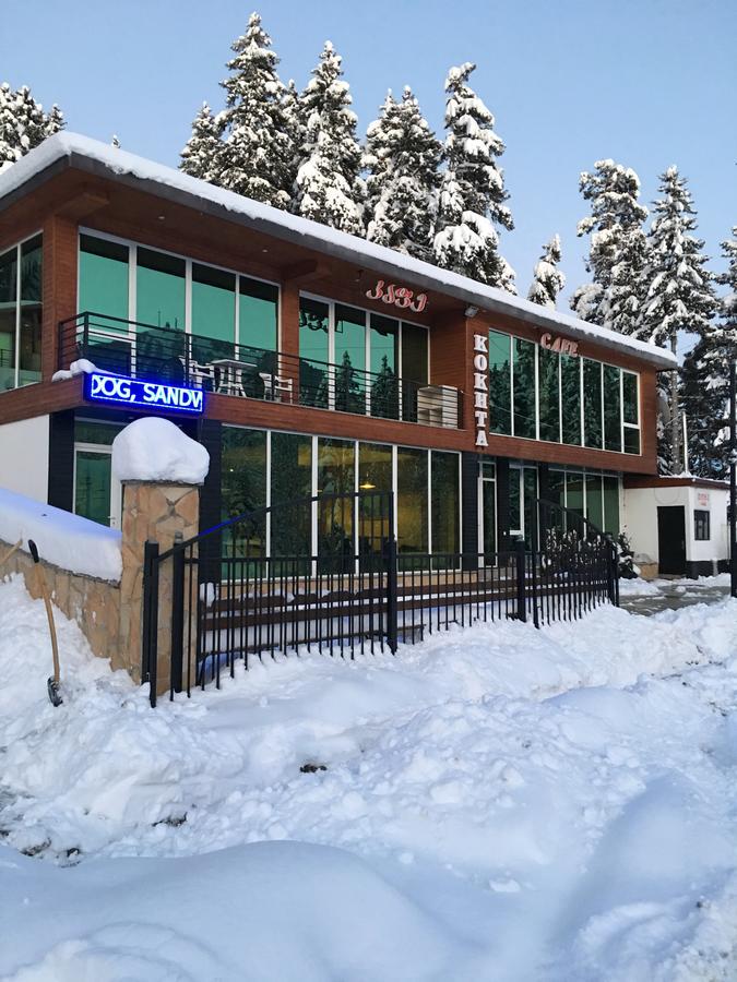 Chalet Kokhta Bakuriani Εξωτερικό φωτογραφία