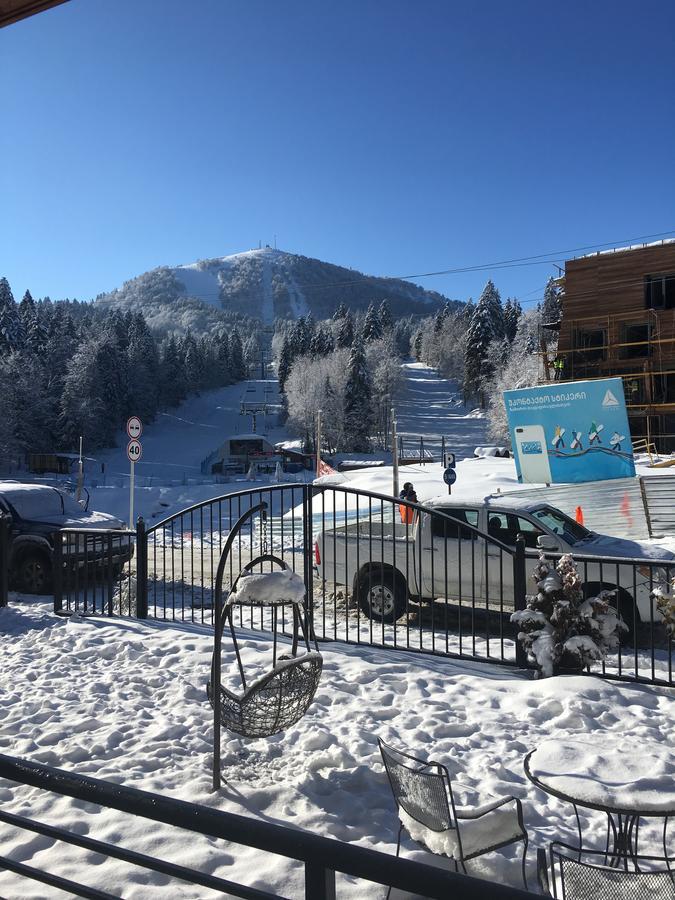 Chalet Kokhta Bakuriani Εξωτερικό φωτογραφία
